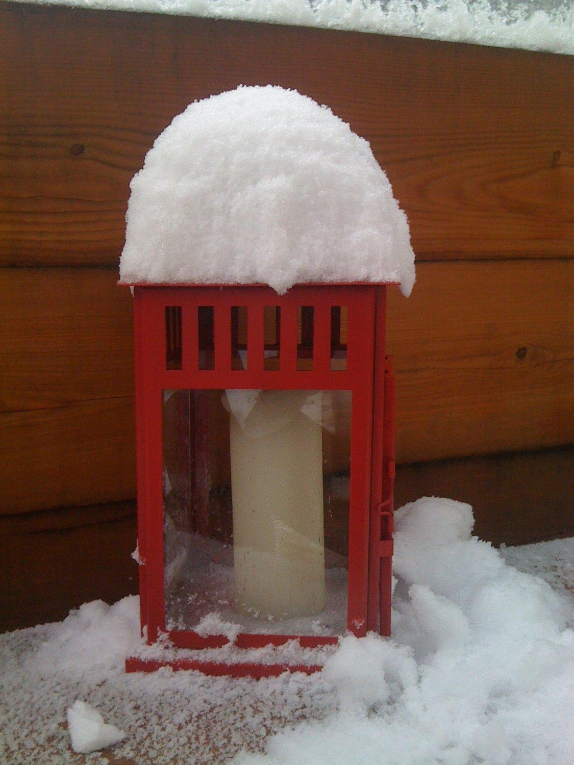 Albergo Alpenrose Ski&Bike Mountain Hotel Gressoney-Saint-Jean Eksteriør billede