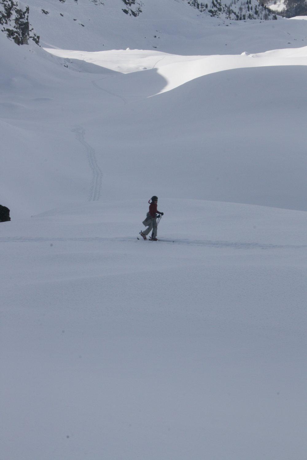 Albergo Alpenrose Ski&Bike Mountain Hotel Gressoney-Saint-Jean Eksteriør billede