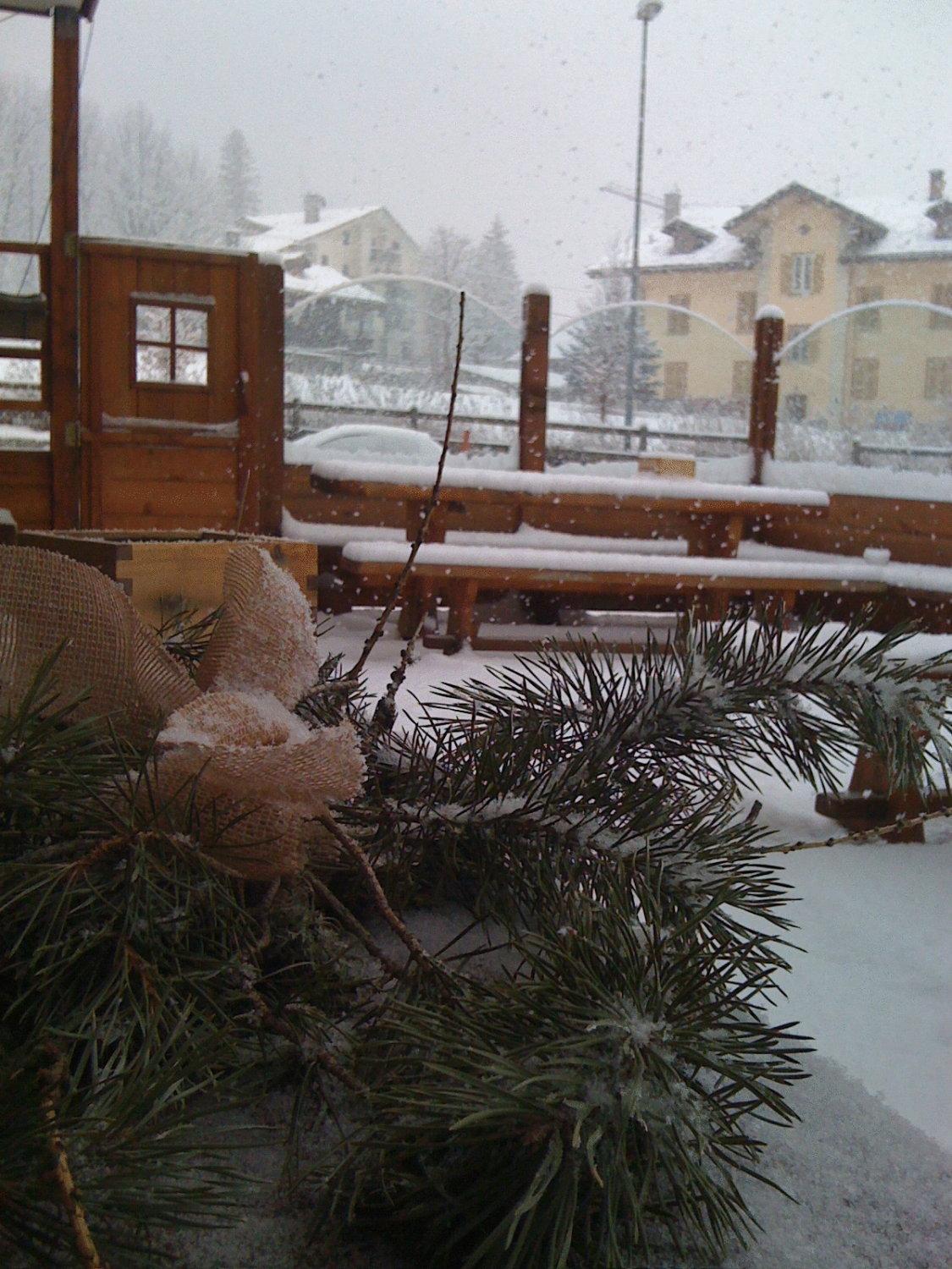 Albergo Alpenrose Ski&Bike Mountain Hotel Gressoney-Saint-Jean Eksteriør billede