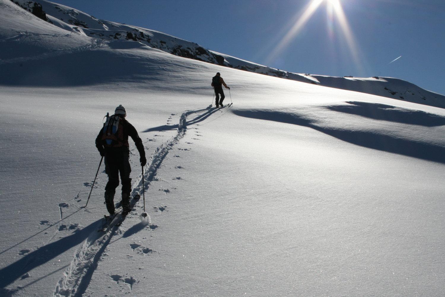 Albergo Alpenrose Ski&Bike Mountain Hotel Gressoney-Saint-Jean Eksteriør billede