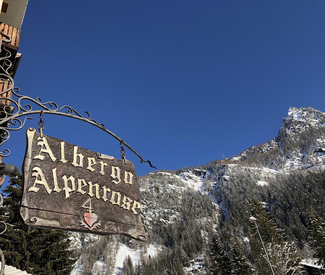 Albergo Alpenrose Ski&Bike Mountain Hotel Gressoney-Saint-Jean Eksteriør billede