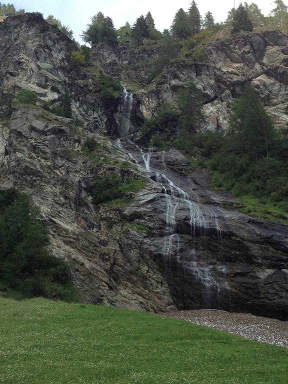 Albergo Alpenrose Ski&Bike Mountain Hotel Gressoney-Saint-Jean Eksteriør billede