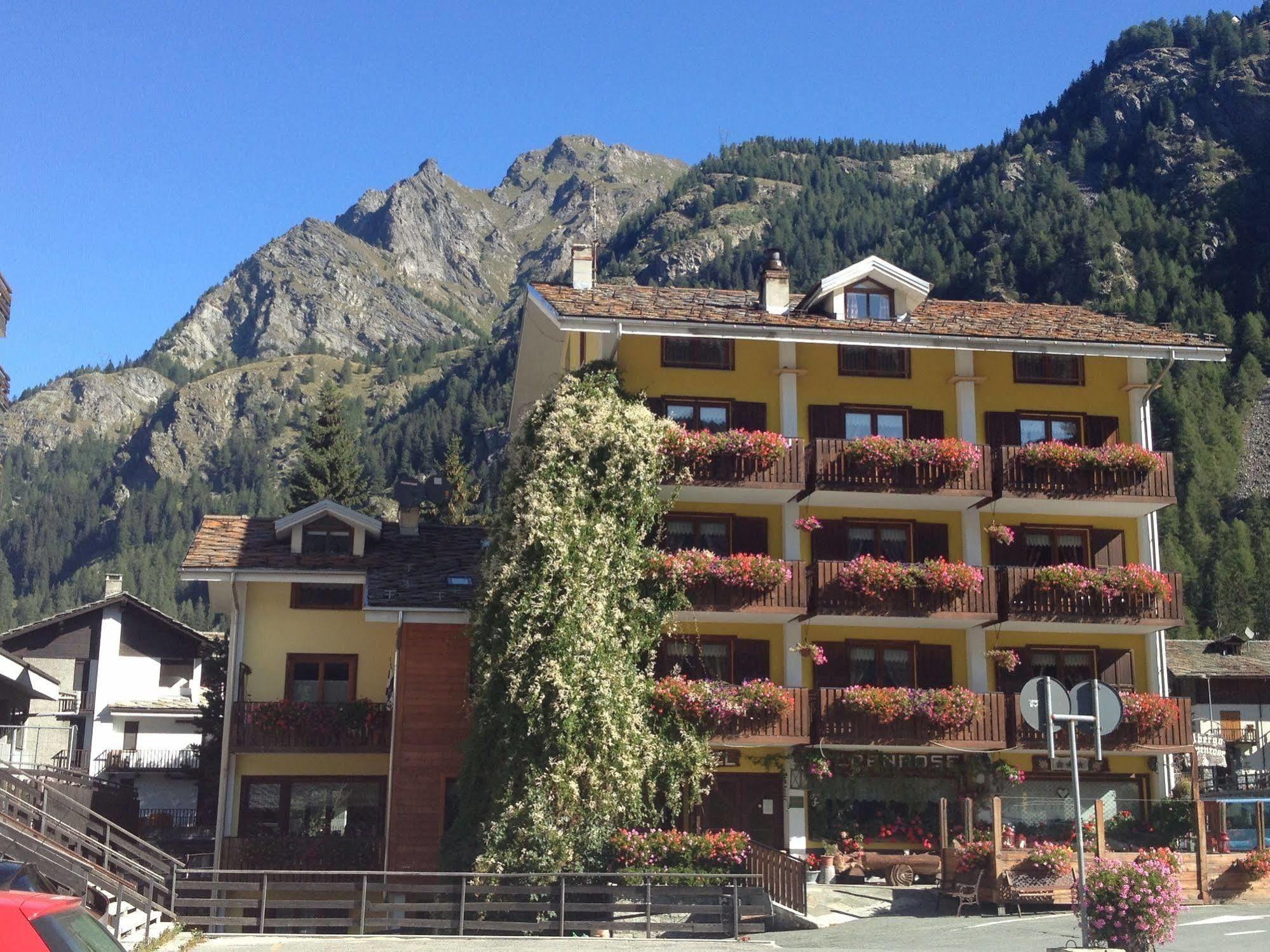 Albergo Alpenrose Ski&Bike Mountain Hotel Gressoney-Saint-Jean Eksteriør billede