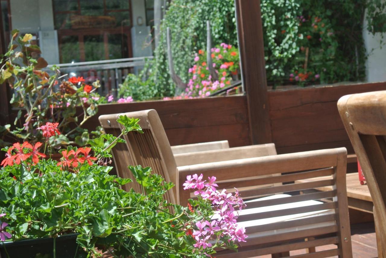 Albergo Alpenrose Ski&Bike Mountain Hotel Gressoney-Saint-Jean Eksteriør billede