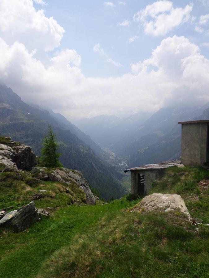Albergo Alpenrose Ski&Bike Mountain Hotel Gressoney-Saint-Jean Eksteriør billede